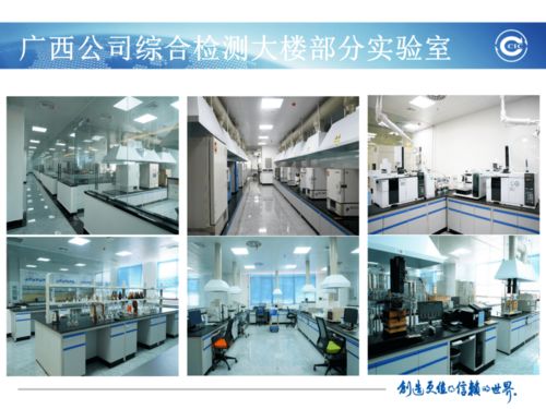 1号工程丨广西公司争做推进数字实验室建设的排头兵